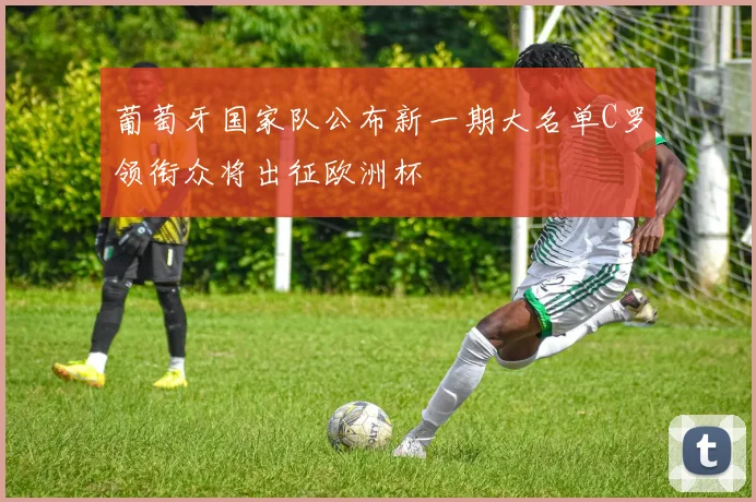 葡萄牙国家队公布新一期大名单C罗领衔众将出征欧洲杯