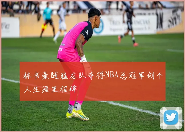 林书豪随猛龙队夺得NBA总冠军创个人生涯里程碑