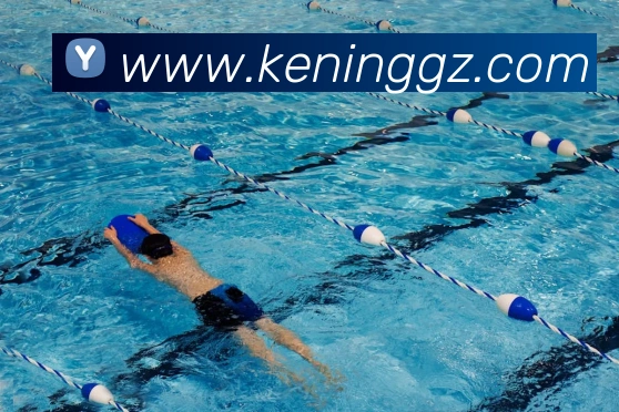 开云官方在线登陆入口平台生态图