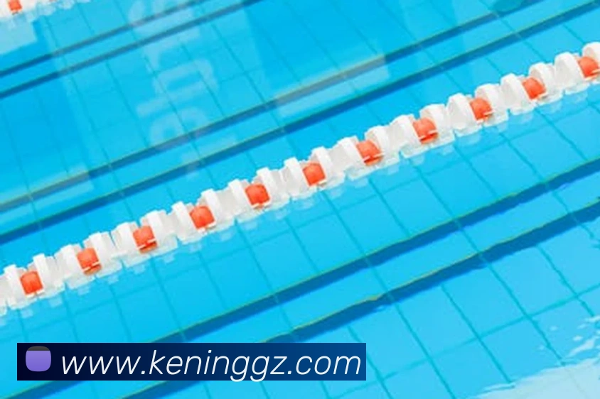 开云官方在线登陆入口全站App